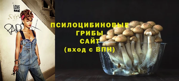 прущие грибы Абаза