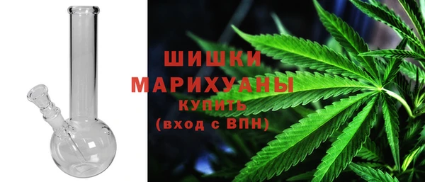 PSILOCYBIN Нефтегорск