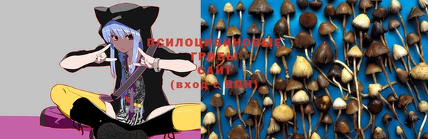 марки lsd Абинск