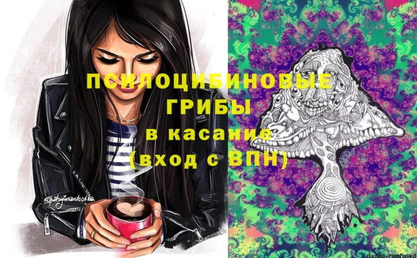 прущие грибы Абаза