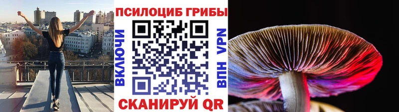 Галлюциногенные грибы прущие грибы  купить  сайты  мега   Адыгейск 